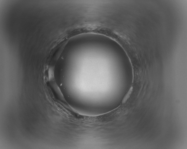X0000070171349200606021046