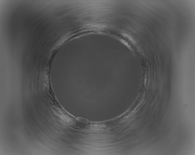 X0000070171354200606021046
