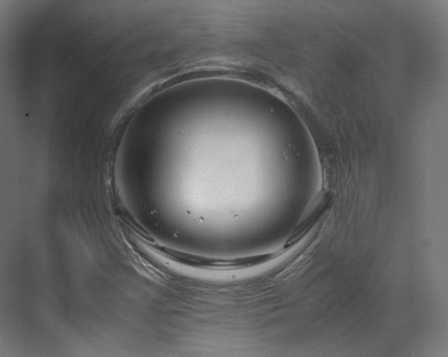 X0000070171355200606021046