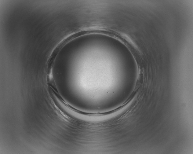 X0000070171356200606021046