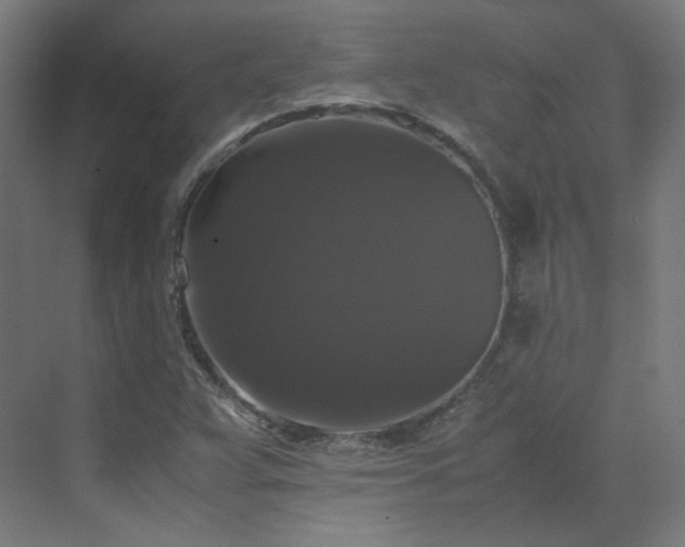 X0000070171359200606021046
