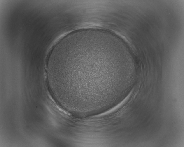 X0000070171363200606021046