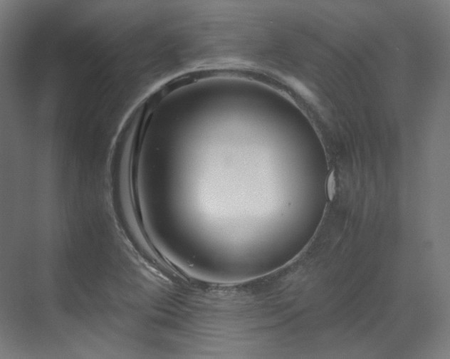 X0000070171364200606021046