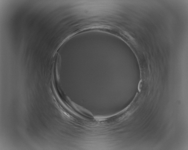 X0000070171369200606021046