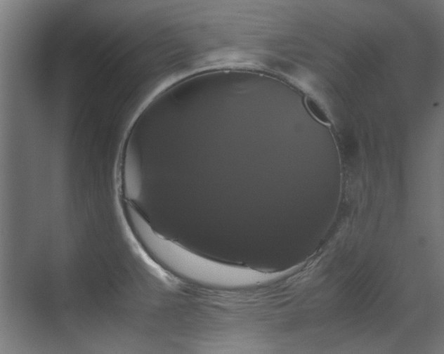 X0000070171383200606021046