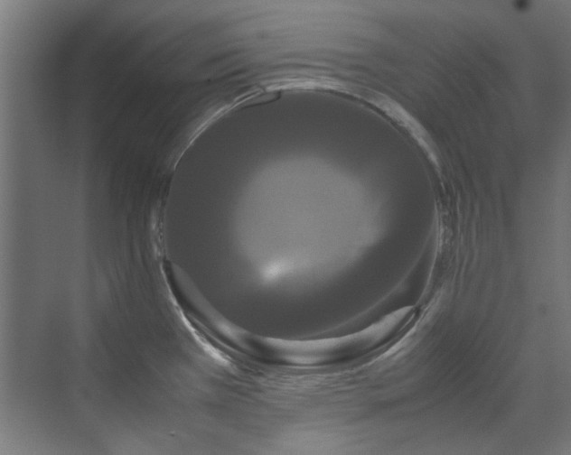 X0000070171385200606021046
