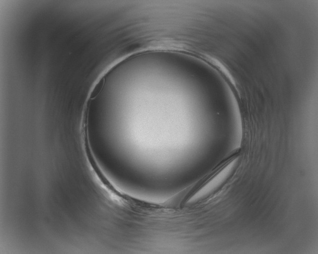 X0000070171387200606021046
