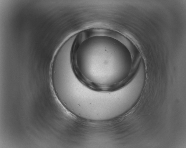 X0000070171392200606021046