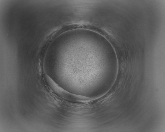 X0000070171398200606021045