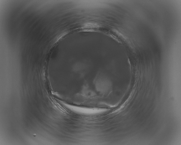 X0000070171401200606021045