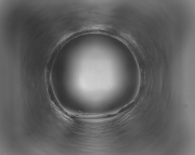X0000070171404200606021045