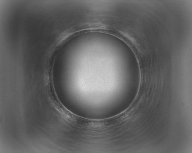 X0000070171407200606021045