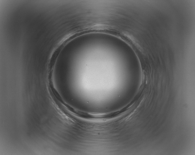 X0000070171410200606021045