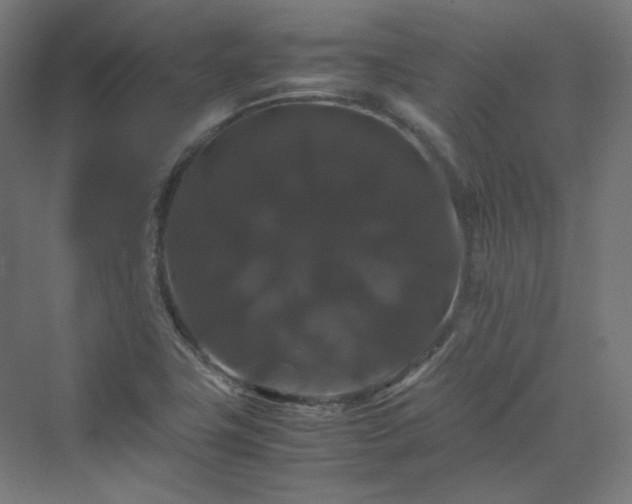X0000070171411200606021045