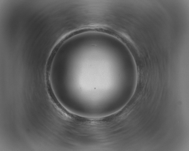 X0000070171412200606021045