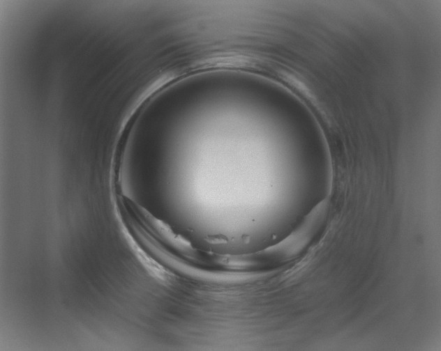 X0000070171426200606021045