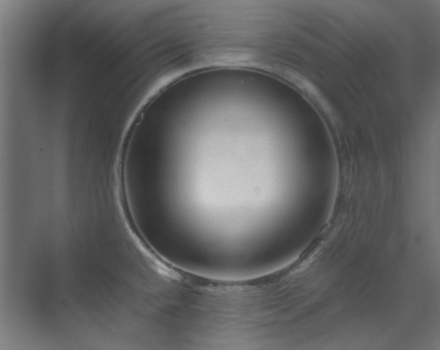 X0000070171432200606021046