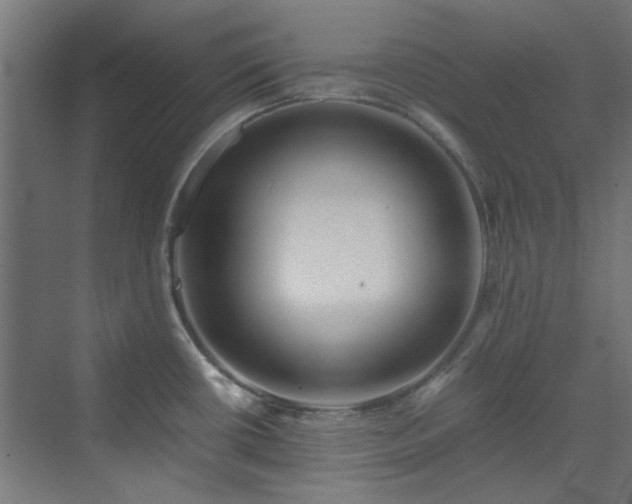 X0000070171434200606021046