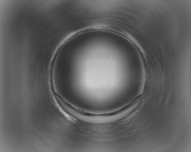 X0000070171437200606021046