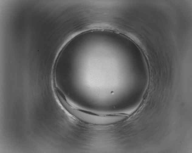 X0000070171440200606021046