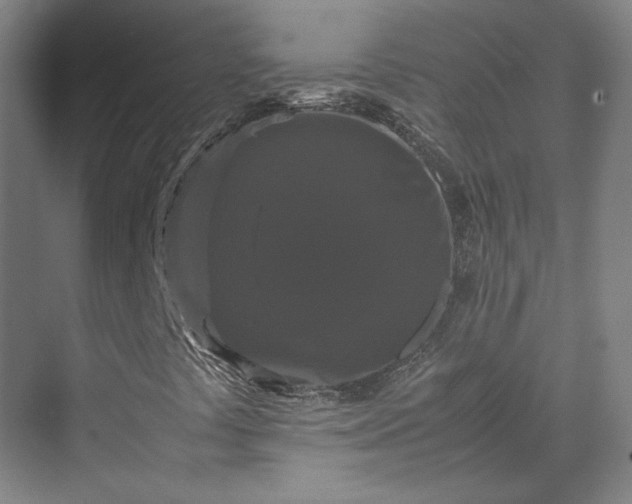 X0000070171441200606021045