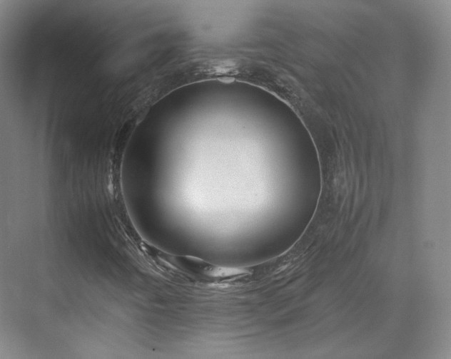 X0000070171442200606021045