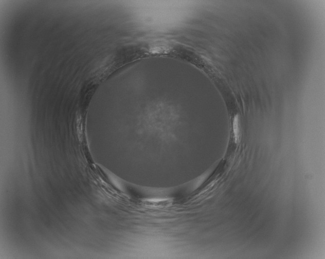 X0000070171443200606021045
