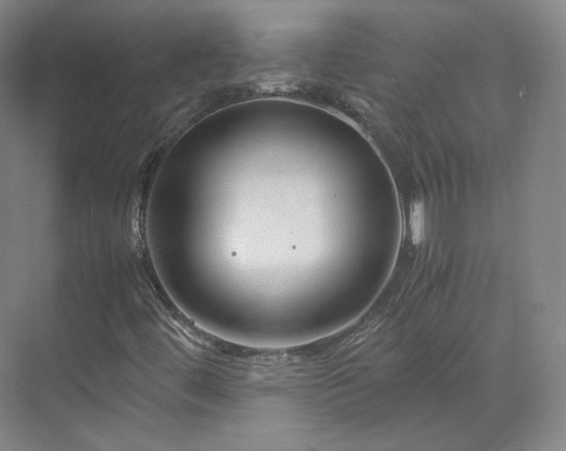 X0000070171444200606021045
