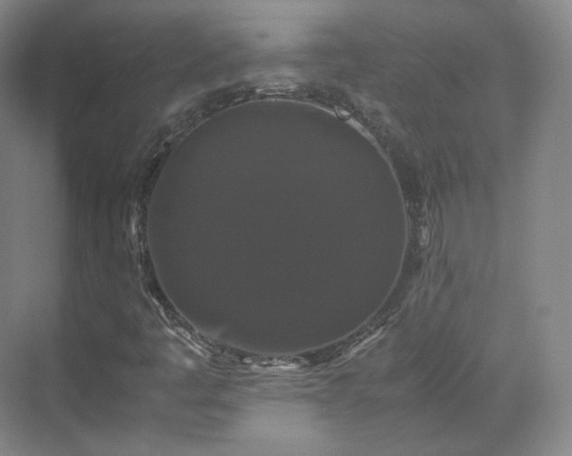 X0000070171445200606021045