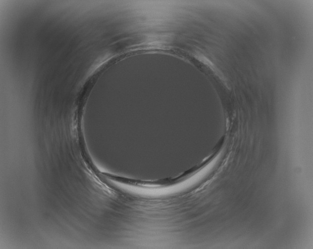 X0000070171450200606021045