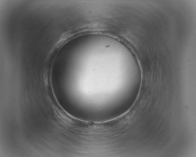 X0000070171451200606021045