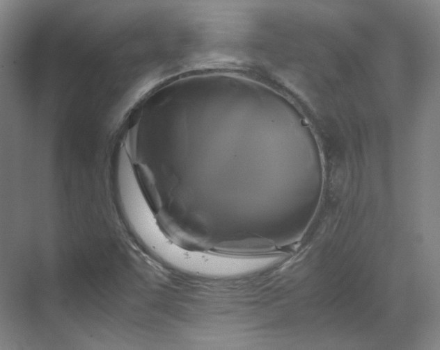 X0000070171455200606021045