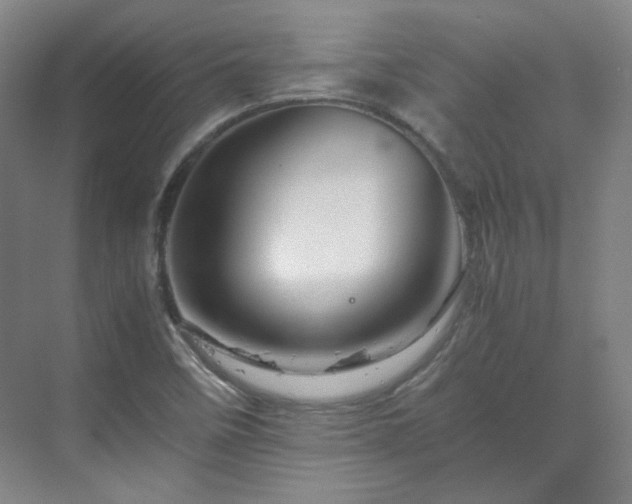 X0000070171458200606021045