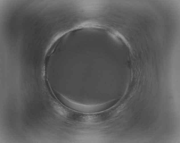 X0000070171461200606021045