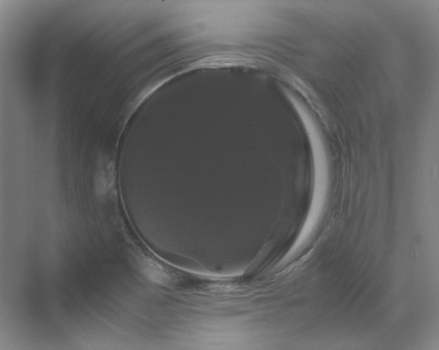 X0000070171465200606021044