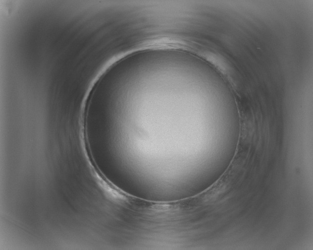 X0000070171478200606021044