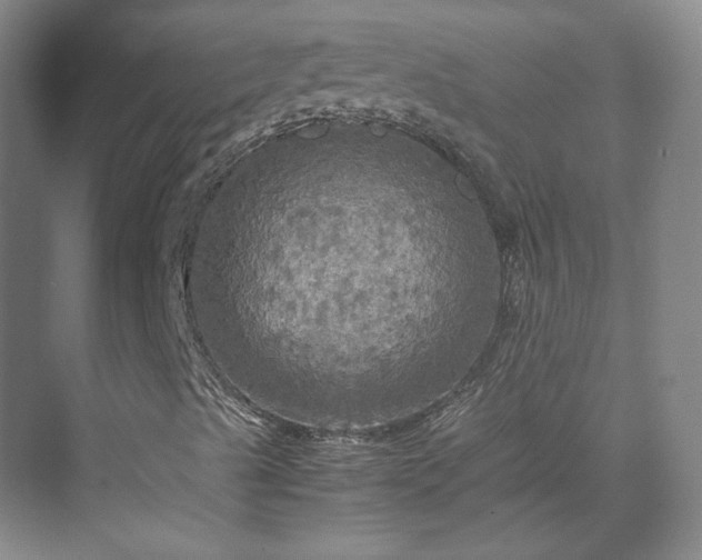 X0000070171489200606021043