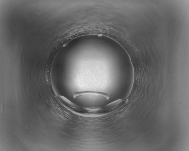 X0000070171490200606021043