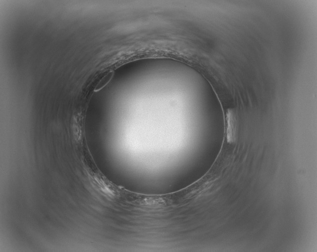 X0000070171491200606021043