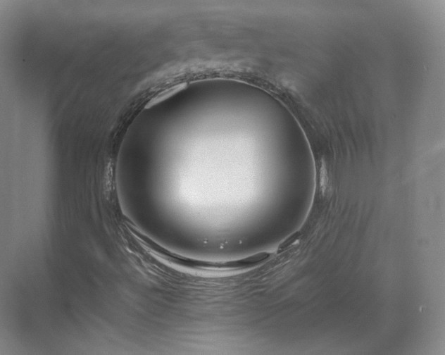 X0000070171492200606021043