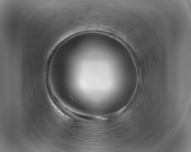 X0000070171500200606021043