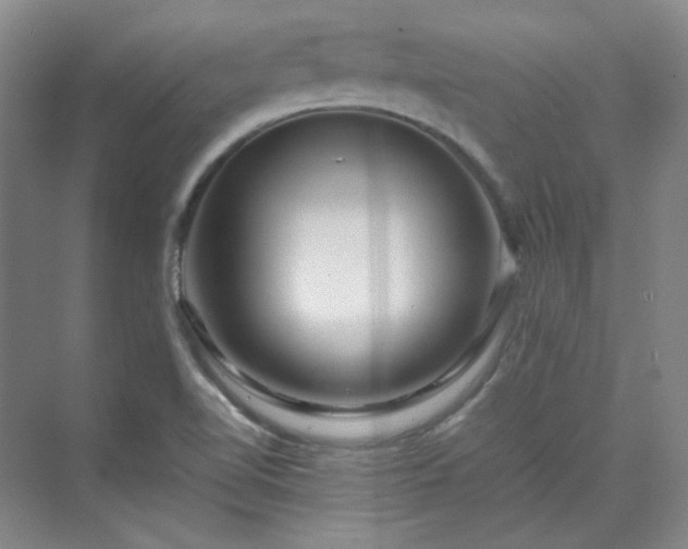 X0000070171510200606021044