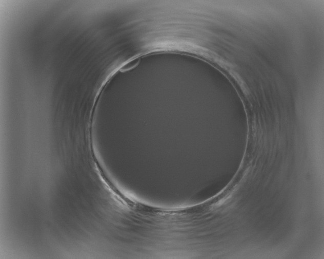 X0000070171529200606021044