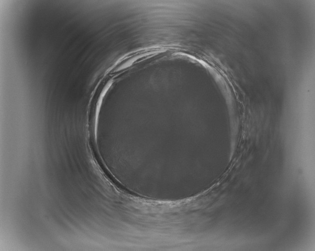 X0000070170002200606091453
