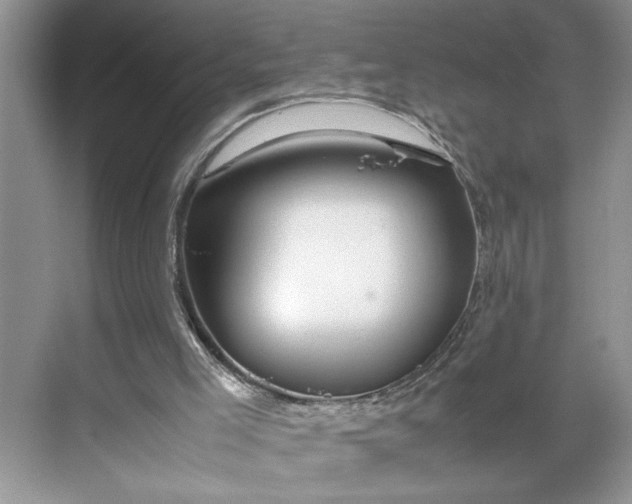 X0000070170005200606091453