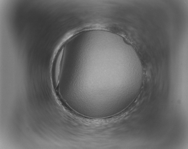 X0000070170006200606091453