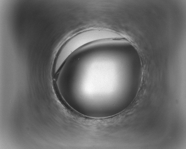 X0000070170007200606091453