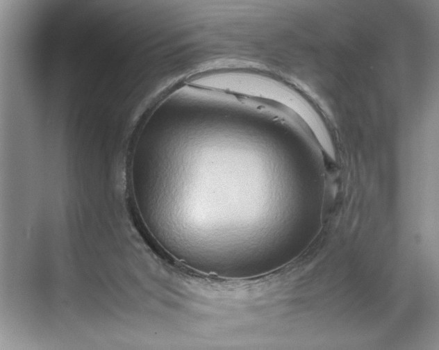 X0000070170015200606091452