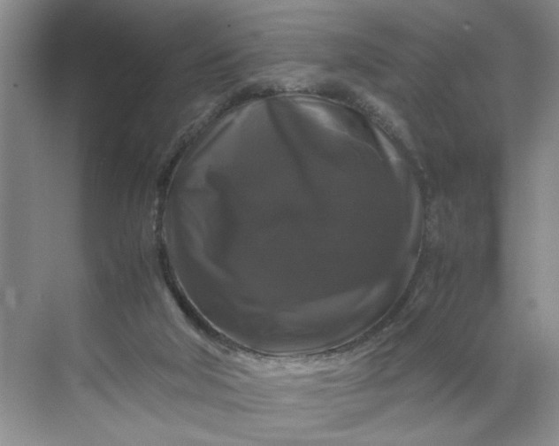 X0000070170018200606091452