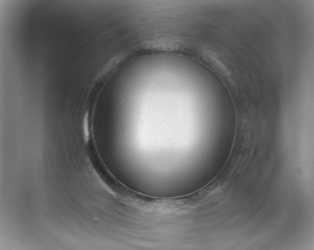 X0000070170020200606091452